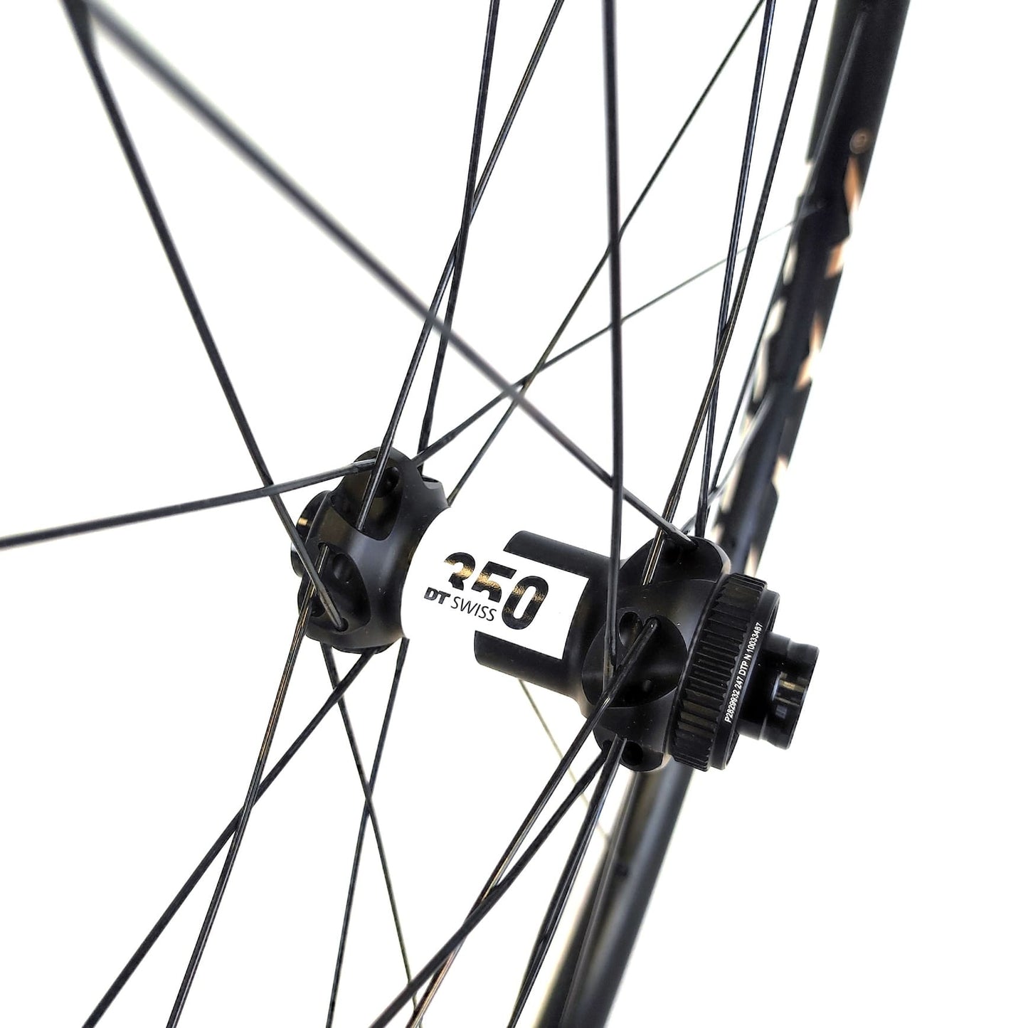 GCX + DT Swiss 350 / decals version